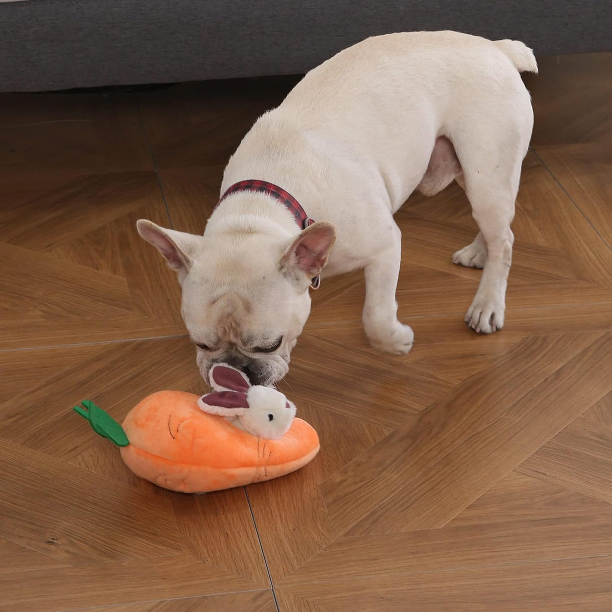 Amazon Basics Interactive Hide and Seek Squeaky Dog Plush Toy, Rabbit and Carrot, Orange and White, 5-Pack