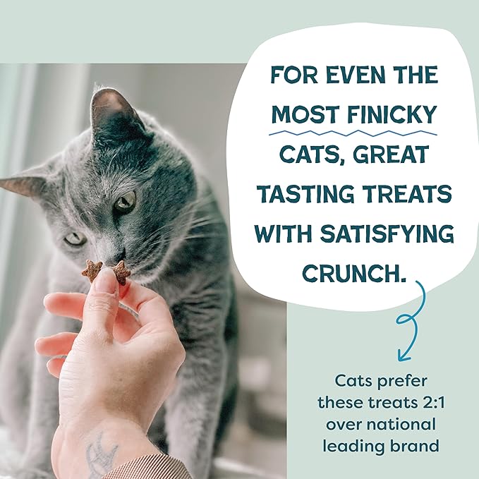 Shameless Pets Crunchy Cat Treats - Catnip Treats for Cats with Digestive Support, Kitten Treats with Real Ingredients, Natural & Healthy Flavored Feline Snacks - Catnip N Chill Tuna, 12 oz