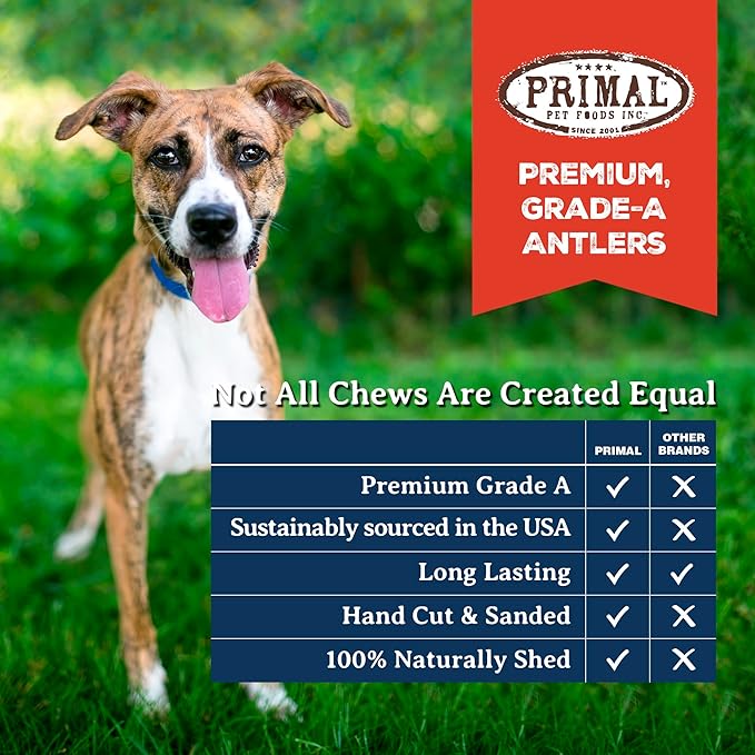 Primal Antlers for Dogs, Grade A Split Stag Antlers for Small Canines up to 15 lb, Natural Chews for Aggressive Chewers, Naturally Shed, Long Lasting Dog Bones, 1 ct
