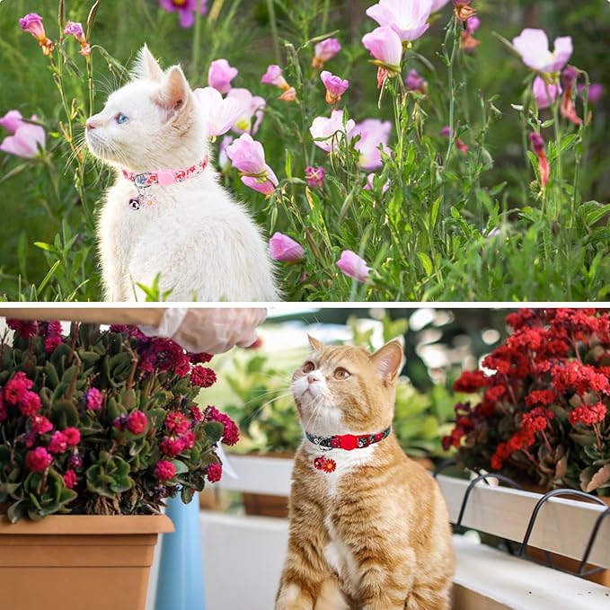 SCENEREAL Cute Cat Collars with Bells Breakaway, 4 Pack Floral Daisy Pendant Spring Summer Pet Collar for Girl Boy Cats, Adjustable Safety Pink Kitten Puppy Collars Flowers Set Size 8-12"