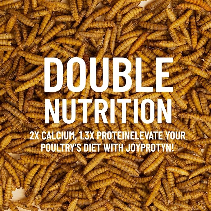 30LB Non-GMO Dried Black Soldier Fly Larvae for Chicken – 85X More Calcium Grubs Than Mealworms for Strong Eggshells & Healthy Growth - High Protein for Chickens, Birds, Ducks, Geese & Pets