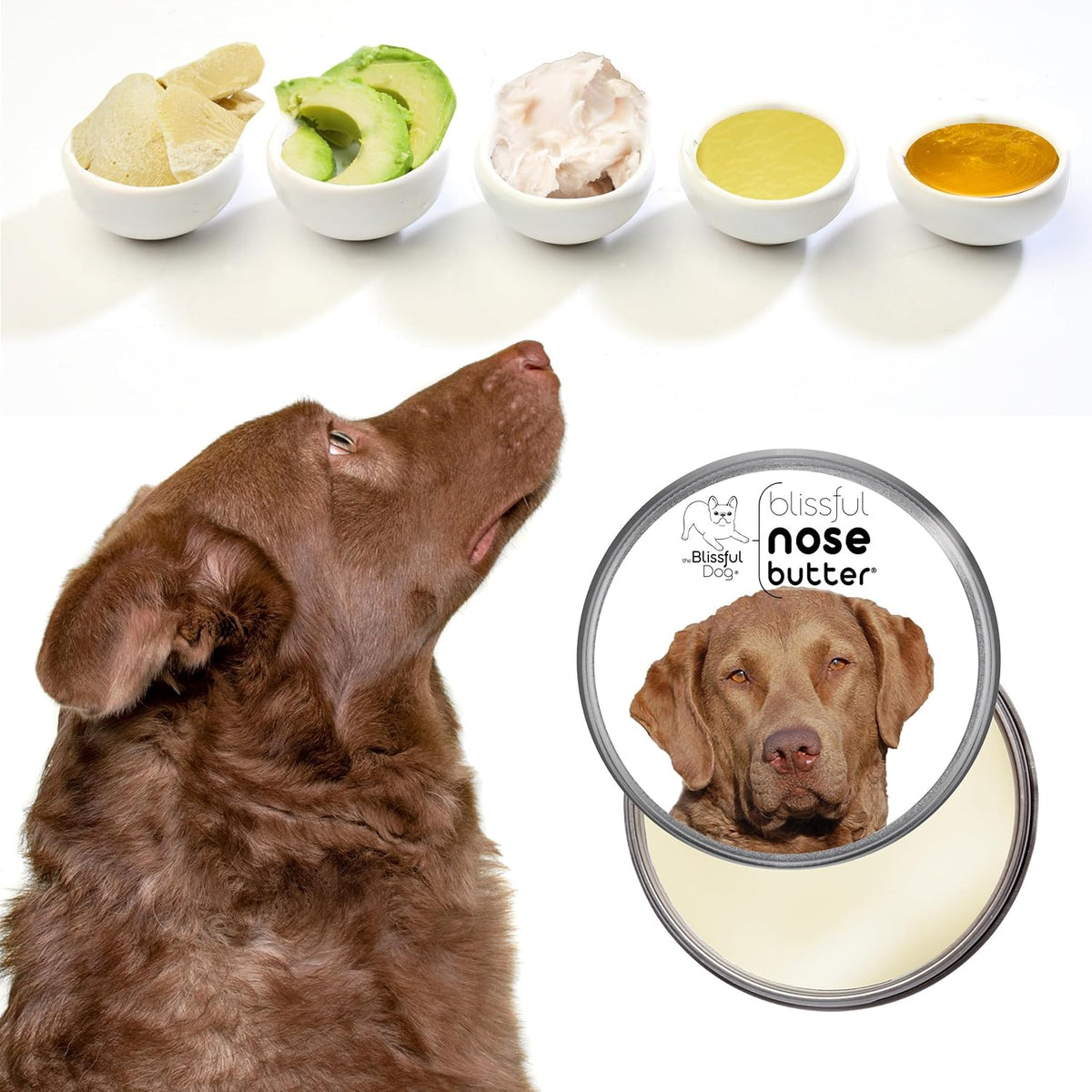 The Blissful Dog Chesapeake Bay Retriever Unscented Nose Butter, 16oz