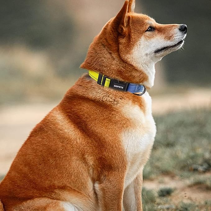 Roses&Poetry XS Dog Collar with Gradient Amber, Yellow Reflective Dog Collar Adjustable XSmall Puppy Collars Tiny for Small Medium Large Dogs (Amber-XS)