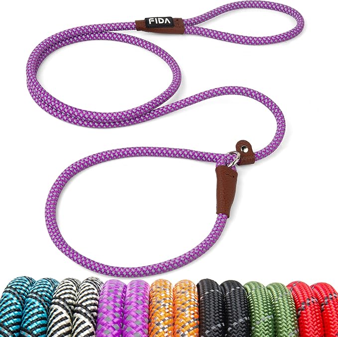 Fida Durable Slip Lead Dog Leash, 6 FT x 3/8" Heavy Duty Comfortable Strong Rope Slip Lead for Small Dogs and Puppies, No Pull Pet Training Leash with Highly Reflective(3/8", Purple)
