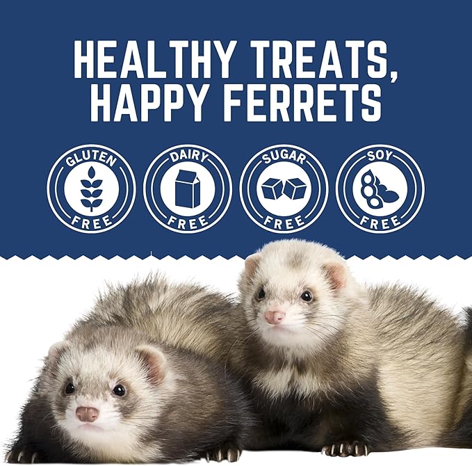 Freeze Dried Small Pet Treats - Resealable Bag of Treats for Ferrets - Ferret Snacks - Single Ingredient Ferret Food With No Preservatives Or Fillers- Small Animals Treats (1 oz, Turkey Heart)