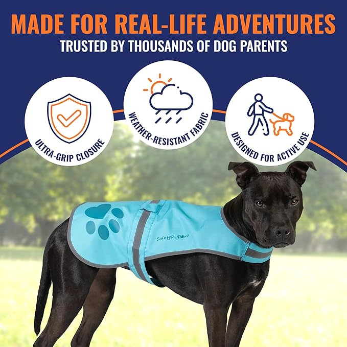 Dog Reflective Vest – Hi-Vis Fluorescent Visibility That Helps to Safeguard Your Pet On/Off Leash in Urban & Rural Areas (Teal, Small)