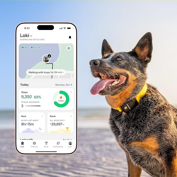 New Fi Series 3+ Smart Dog Tracker Collar – AI GPS for Dogs, Health & Behavior Monitor, Virtual Fence, Escape Alerts, Waterproof, Apple Watch Compatible 12Mo Membership Included