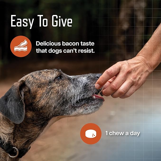Virbac URSOLYX Soft Chews for Dogs | Muscle Health Support for Senior, Active or Recovering Dogs, Medium | 60 Count 2- Month Supply