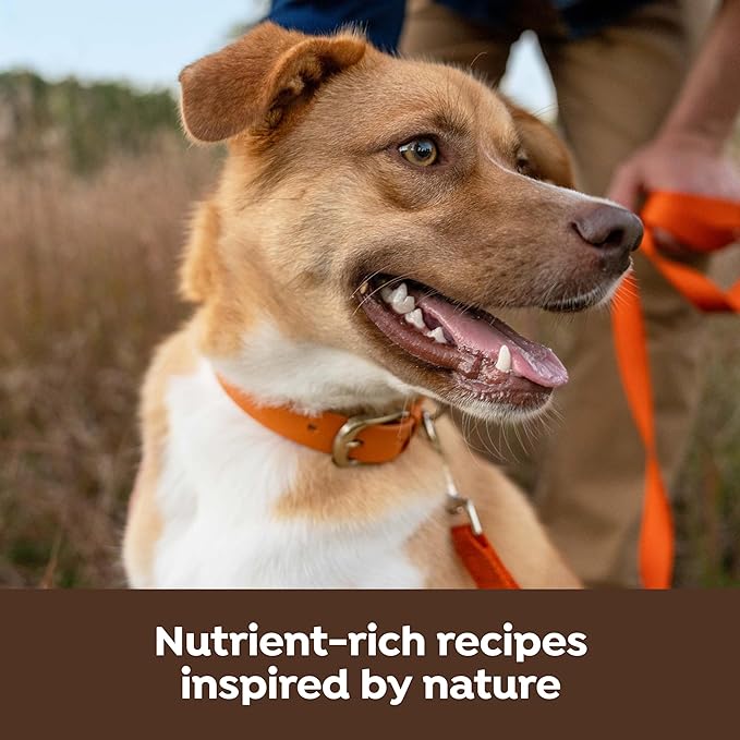 Nature's Recipe Dry Dog Food with Freeze Dried Chicken Bites, Chicken, Barley & Brown Rice Recipe 3.5 lb Bag (Pack of 4)