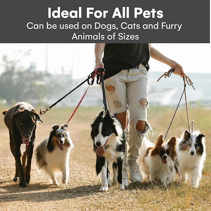 Pet Union Professional Dog Grooming Kit - Cordless Low Noise Dog Clippers for Grooming Thick Coats - All Pet Safe Cat Hair Trimmer - Pet Grooming Kit Includes Dog Hair Clippers, Nail Trimmer & Shears