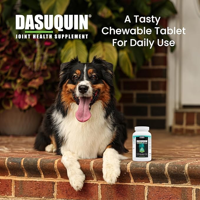 Nutramax Dasuquin for Small to Medium Dogs, Joint Health Supplement, Contains Glucosamine for Dogs, Plus Chondroitin, ASU and More, Supports Healthy Joints, Chewable Tablets, 150 Count