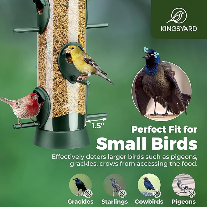 Kingsyard 2 Pack Tube Bird Feeder for Outdoors Hanging, Removable Base and Perch, 6 Feeding Ports - Easy to Clean, Premium Hard Plastic, Attracting for Finches Cardinals (Green)