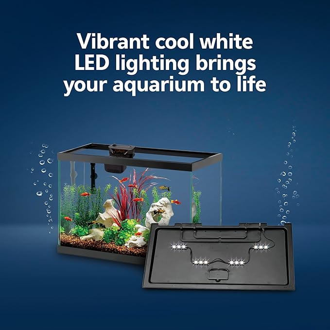 Aqueon Aquarium Starter Kit with Smart Clean Filtration and LED Lighting, Freshwater and Saltwater Fish, Perfect for Gouramis, Barbs, Bettas, 20-Gallon