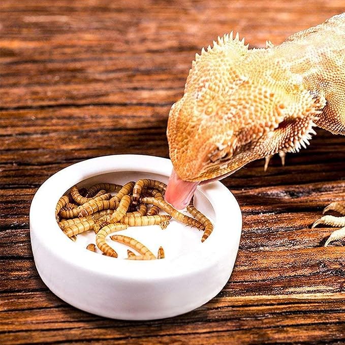 River 4 Pack Worm Dish Reptile Food Bowl, Ceramics Made, Lizard, Gecko Food Dish (2.7inch)