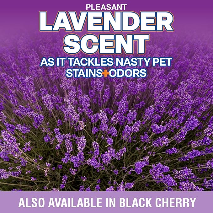 OdorPet Pet Stain Remover and Odor Eliminator - 16 Oz Ready To Use Spray, Non Staining, Professional Strength, Lavender Scent by Alpha Tech Pet
