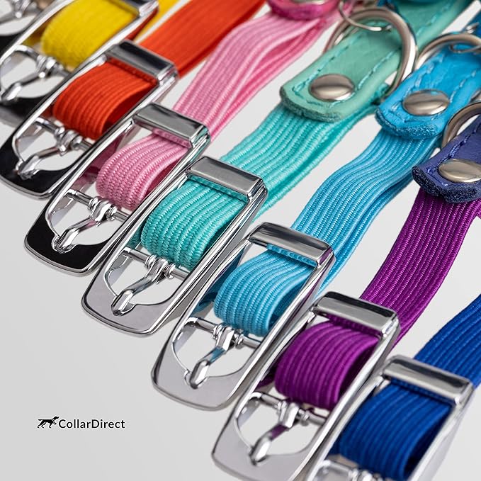 CollarDirect Leather Cat Collar, Kitten Collar with Removable Bell Black Blue Red Orange Lime Green (6-7 Inch, Light Blue)
