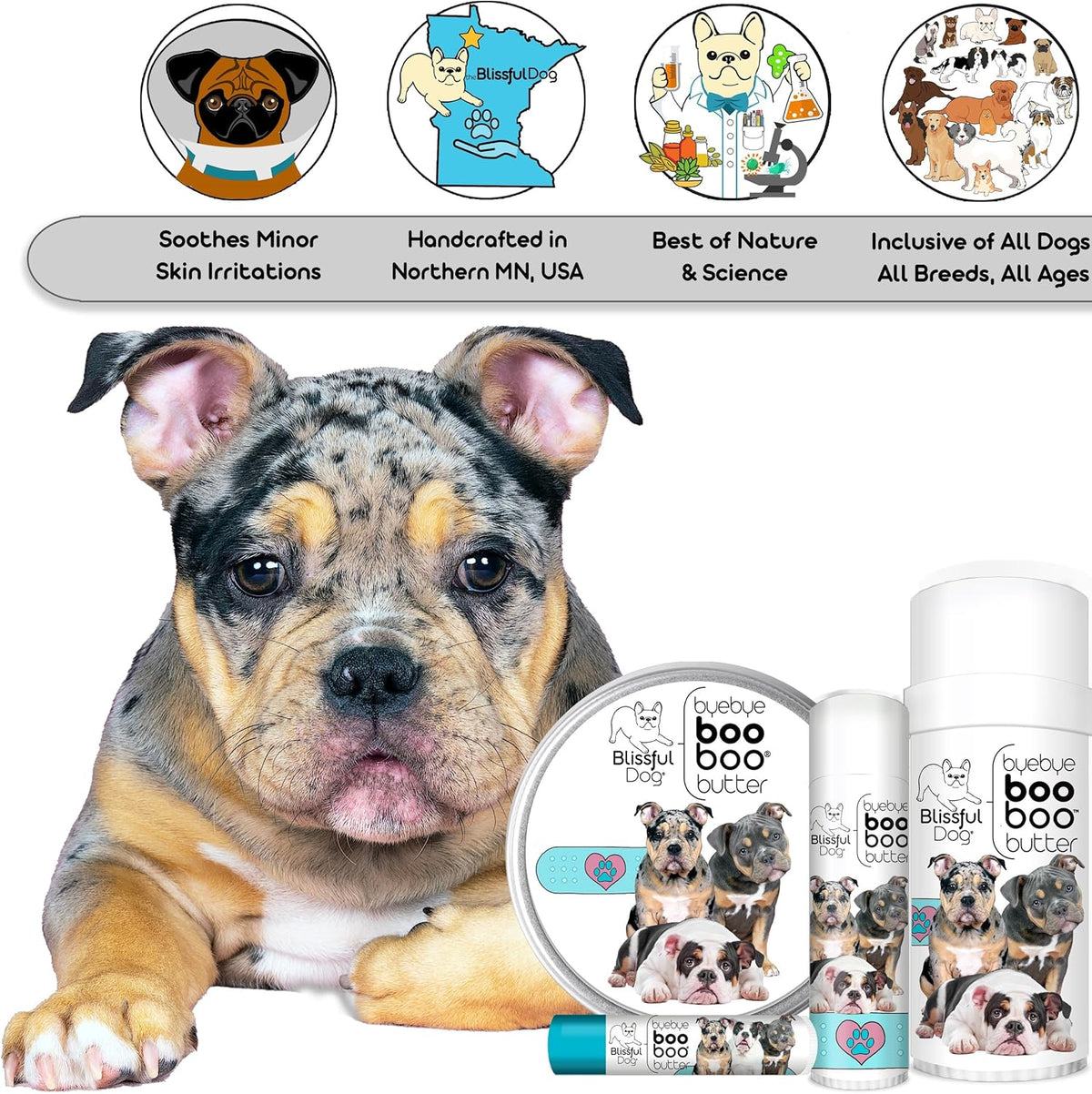 The Blissful Dog Olde English Bulldogge Boo Boo Butter Soothes Minor Skin Issues, 16 oz.