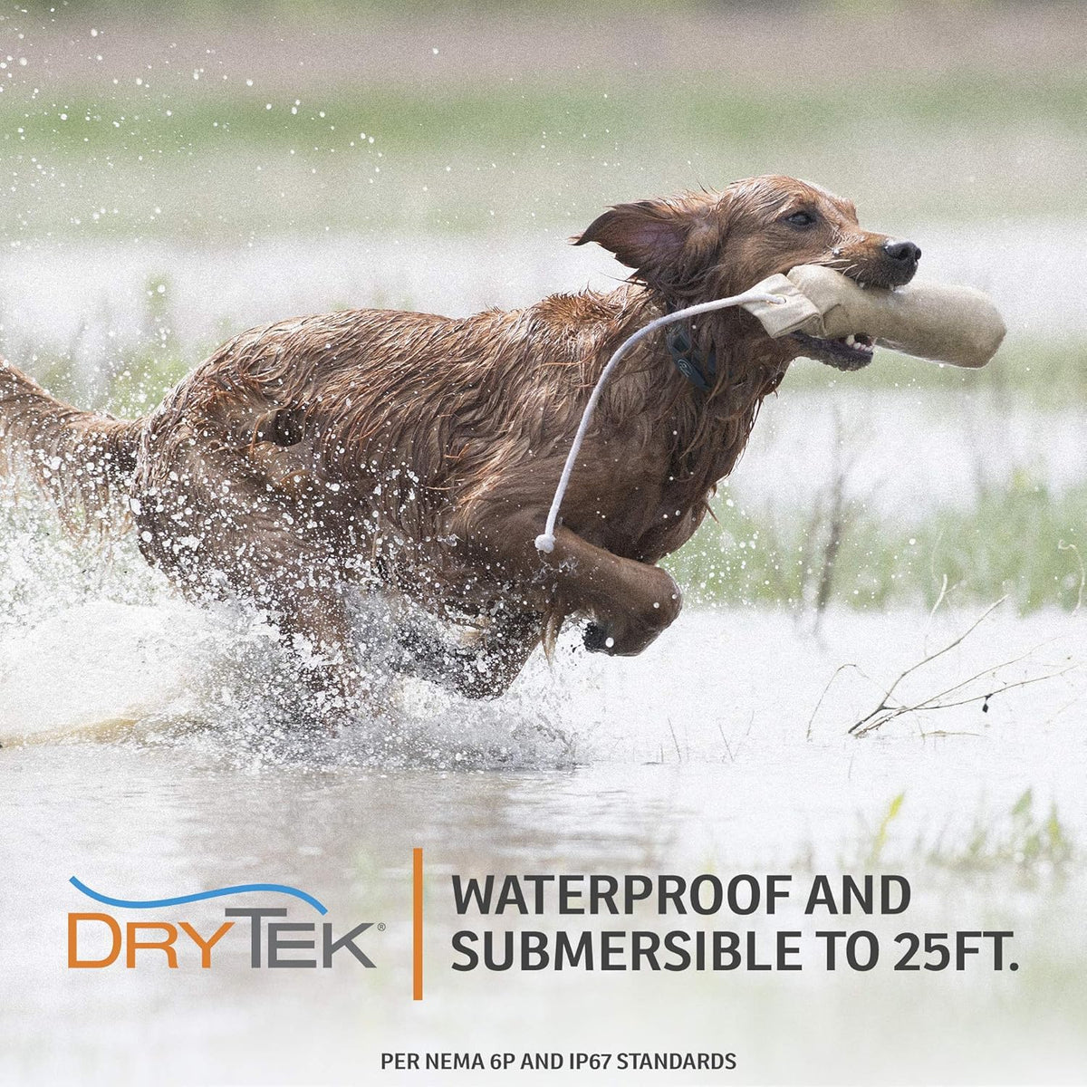 SportDOG Brand SportHunter 825X Dog Training Static Collar with Remote, 1/2 Mile Range Waterproof Dog E-Collar, Submersible up to 25 Ft, Rechargeable Training Device with Static, Vibrate and Tone