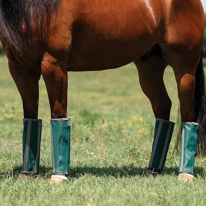 Professional's Choice Deluxe Fly Boots | Breathable Mesh | 4 Pack
