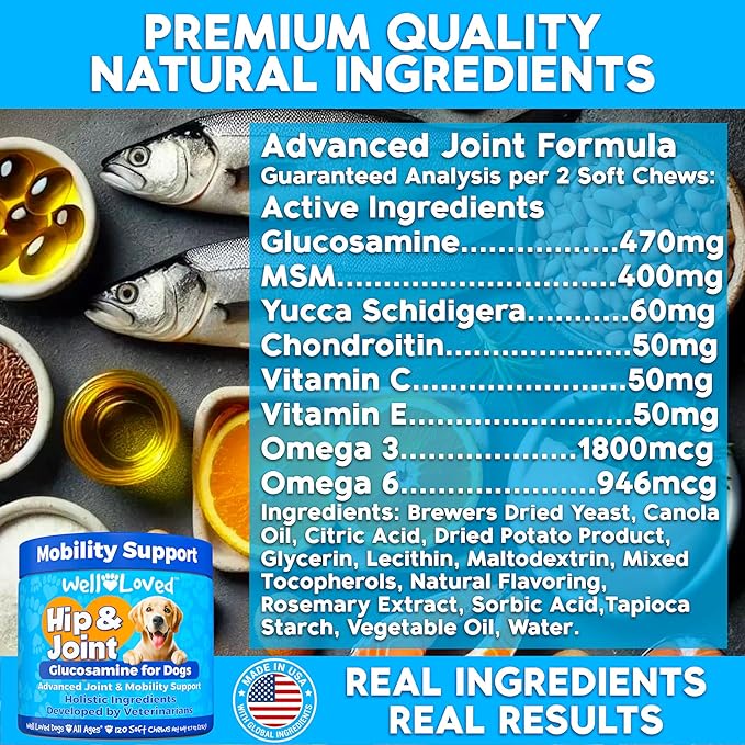Glucosamine for Dogs - Joint Supplement for Dogs, Made in USA, Vet Developed, Glucosamine Chondroitin, Hip and Joint Chews with MSM, Large Breed, Pain Relief, 120 Chews
