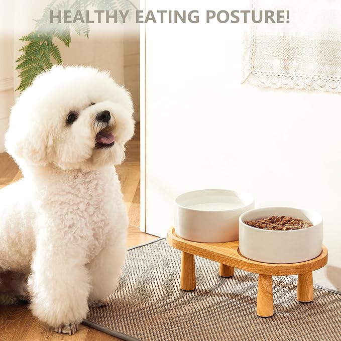 Ceramic Elevated Dog Bowls, Pet Food and Water Bowl Set for Medium and Small Dogs, 3.5 Cups Dog Bowls Raised with Wood Stand, 29OZ, White