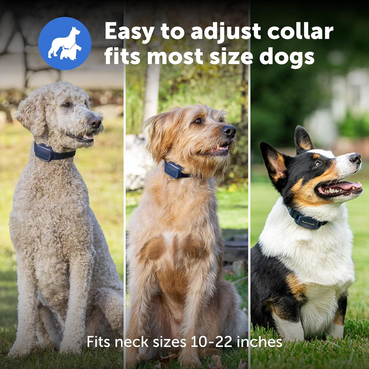 PetSafe Pro Dog Trainer with Remote – Waterproof Training Collar – 1000 ft Range – Tone, Vibration and 19 Levels of Static - Add-A-Dog Compatible – Sleek Remote Training Collar