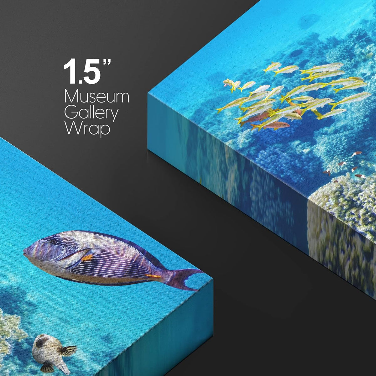 wall26 Canvas Print Wall Art Vibrant Teal Underwater Fish Coral Reef Nature Animals Photography Realism Rustic Scenic Landscape Wilderness Earth Colorful for Living Room, Bedroom, Office - 16"x24"
