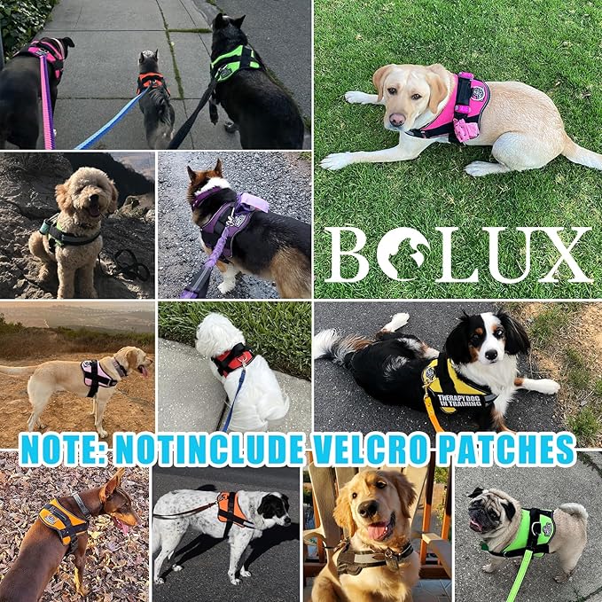 Bolux Dog Harness, No-Pull Reflective Dog Vest, Breathable Adjustable Pet Harness with Handle for Outdoor Walking - No More Pulling, Tugging or Choking (OceanicBlue, Small (Pack of 1))