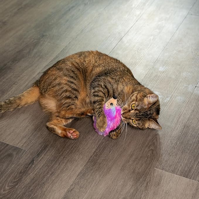 Catstages Catnip Plushies Hedgehog Multicolored Plush Catnip Cat Toy