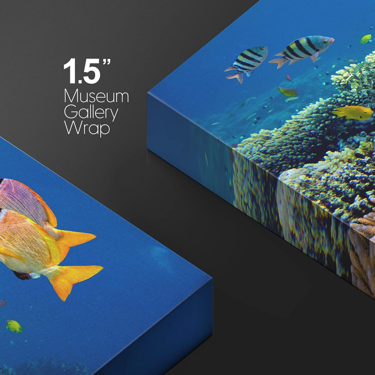 wall26 Canvas Print Wall Art Vibrant Coral Reef Underwater Panorama Nature Animals Photography Realism Rustic Scenic Landscape Wilderness Earth Colorful for Living Room, Bedroom, Office - 32"x48"