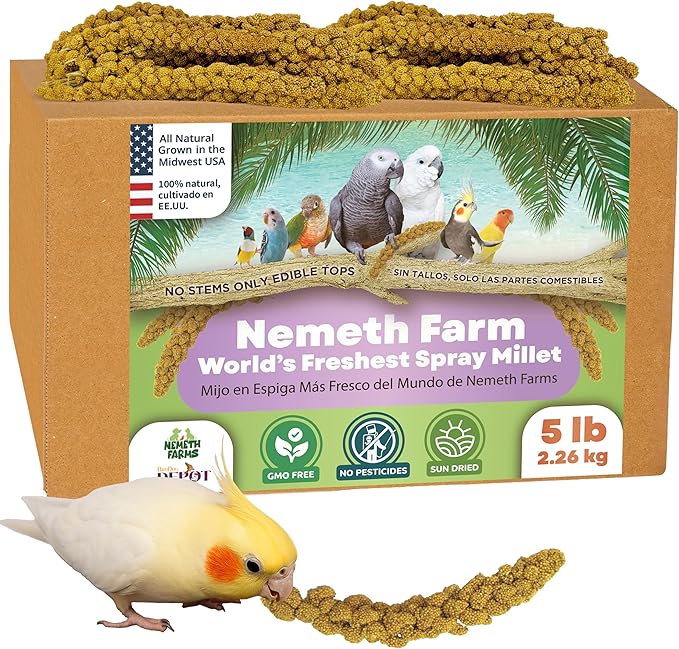 Nemeth Farms Worlds Freshest GMO-Free, Sun Dried Spray Millet No Stems Only Edible - Tops-Original Bird Treat and Supplement for Pet Birds Parakeets, Cockatiels, Lovebirds and Finches - 5lbs
