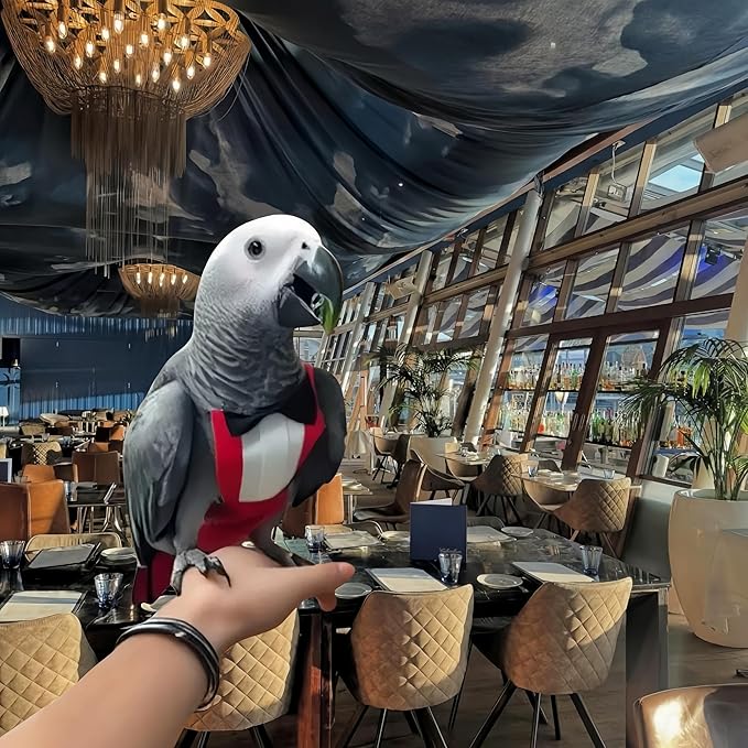 Bird Diapers Bird Harness Tuxedo Flight Suits with 80in Flying Leash Parrot Nappy with Waterproof Inner Layer Urine Wet Suite for Cockatiel Conure Parakeet Macaw Budgie-Red,M