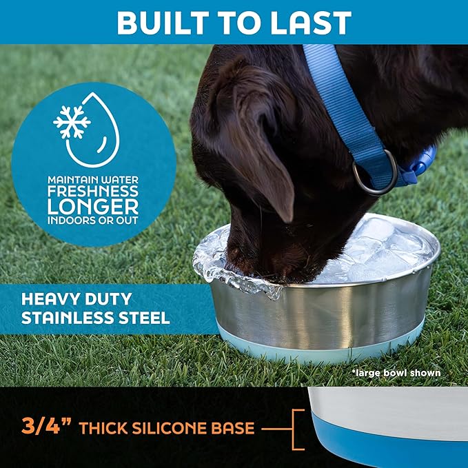 Master Pet Supply Stainless Steel Dog Bowls Set of 2 with Extra Thick Silicone Base - 16 Cup (128 oz) Mango Tango, Non-Slip, Dishwasher Safe Metal Bowls, Pet Dog Food Bowl for Dogs, Cats, Anti Rust