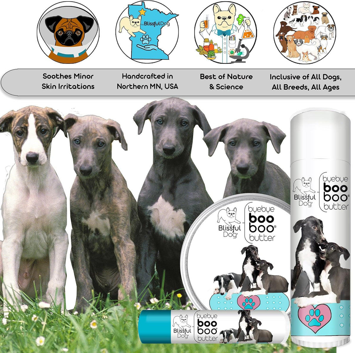 The Blissful Dog Greyhound Boo Boo Butter, 16 oz.