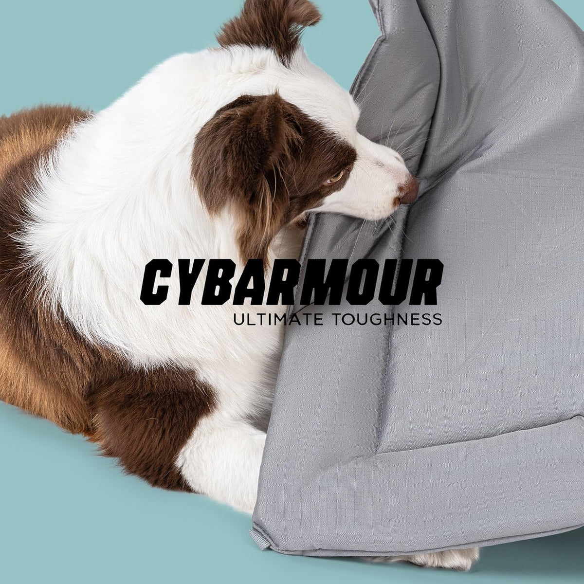 Cybarmour Chew Proof Dog Crate Pad - Outdoor Indestructible Dog Bed - Tough - Potable - Machine Washable - Water & Dirt-Resistant - Large Breeds & Fits 36-Inch Crate - 35"x22", Limestone