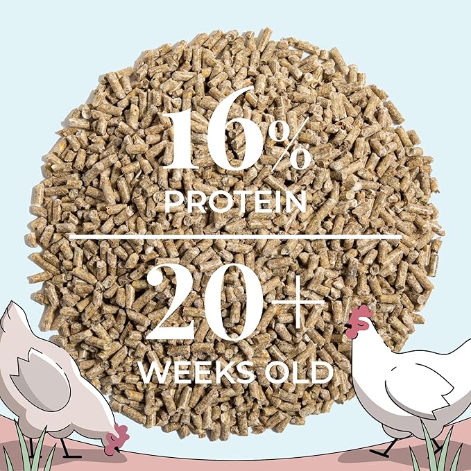 Organic Chicken Feed – Layer Pellet, Non-GMO, USA Grown, 16% Protein, Corn-Free, Soy-Free, Non-Medicated Feed for Chickens, 2 lbs Sample