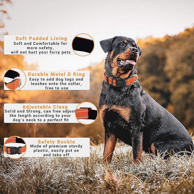 2 Pack Reflective Dog Collar with Safety Locking Buckle, Adjustable Soft Breathable Comfortable Nylon Pet Collar for Small, Medium and Large Dogs, Orange, M