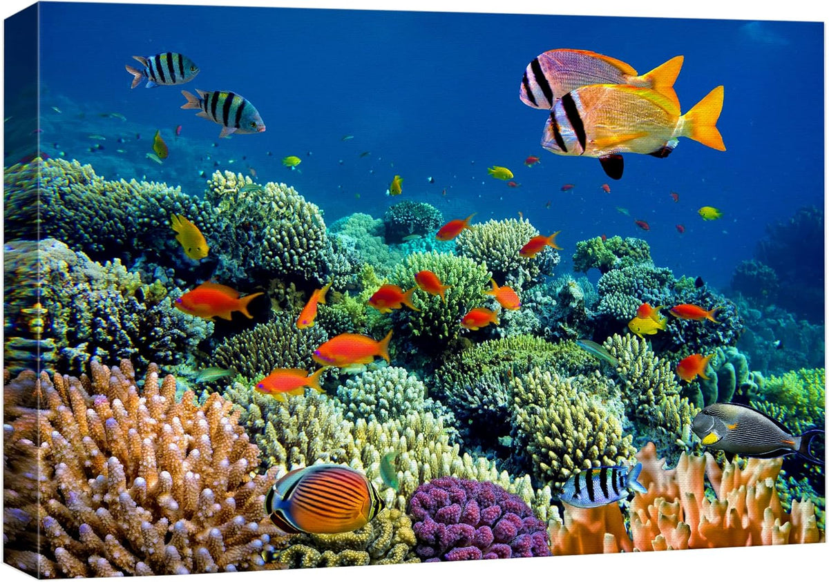 wall26 Canvas Print Wall Art Vibrant Coral Reef Underwater Panorama Nature Animals Photography Realism Rustic Scenic Landscape Wilderness Earth Colorful for Living Room, Bedroom, Office - 16"x24"
