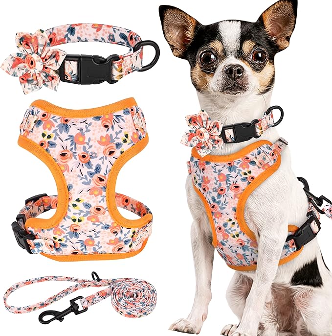 Beirui Cute Girl Dog Collars, Harnesses & Leashes Set - Adjustable Dog Collar and Leash Set with Flower - Soft Mesh Dog Vest Harness for Puppies Small & Extra Small Dogs Cats (Orange,XXS)