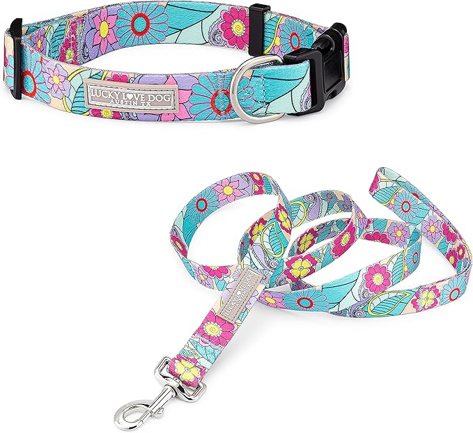 Lucky Love Dog Collar and Leash Combo, Cute Collar and Leash Set for Small Female Dogs, Part of Purchase Donated to Rescue (Small, Caroline, Combo)