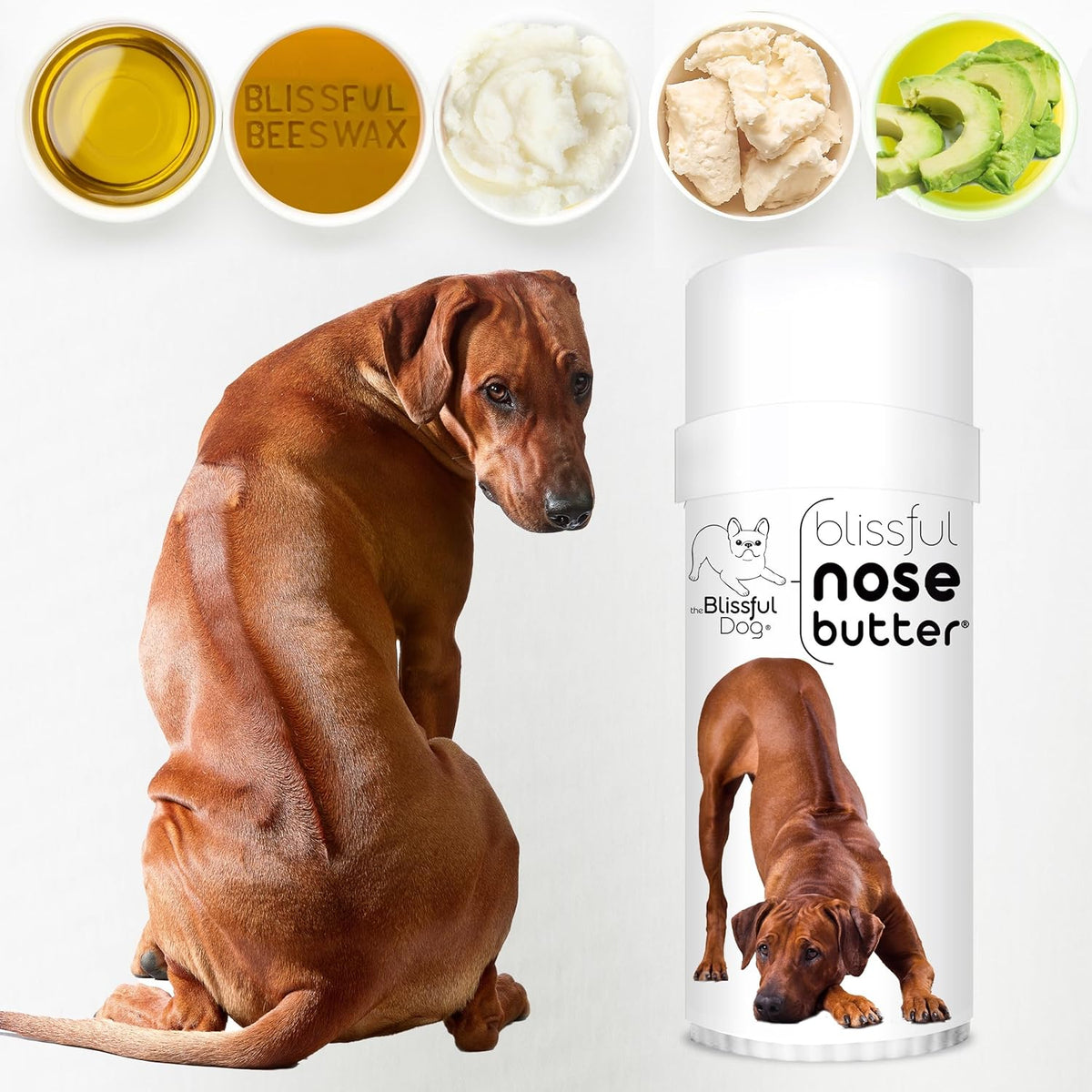 The Blissful Dog Rhodesian Ridgeback Unscented Nose Butter - Dog Nose Butter, 2 Ounce