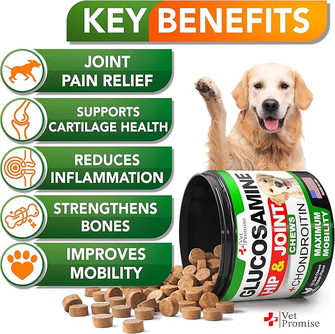 Vet Promise Glucosamine for Dogs - Hip and Joint Supplement for Dogs - Glucosamine Chondroitin - Joint Pain Relief Pills - MSM - Advanced Health Support Supplement - 120 Mobility Chews - Made in USA