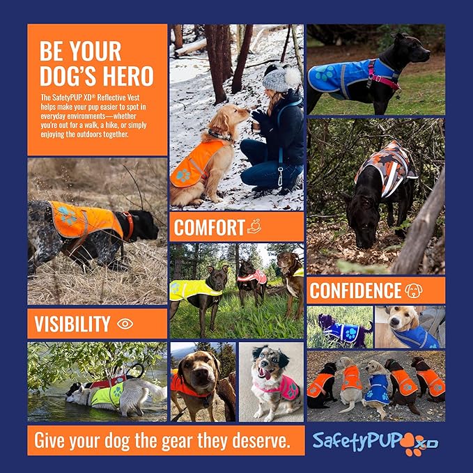 Dog Reflective Vest – Hi-Vis Fluorescent Visibility That Helps to Safeguard Your Pet On/Off Leash in Urban & Rural Areas (Blue, Medium)