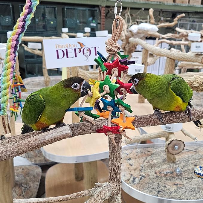 Birds LOVE Wood Stars & Leather Toy for Bird Cage Stand or Playgym, Bird Toys for Small to Medium Parrots, Sun Conures, Green Cheeked Conures, Quakers, Parakeets, Caiques, Cockatiels, African Senegals