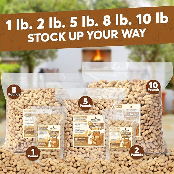 3 LB - Raw Peanuts For Squirrels, Raw In Shell Peanuts For Birds and Wildlife- Squirrel Food, Wild Bird Seed - Grown in The USA
