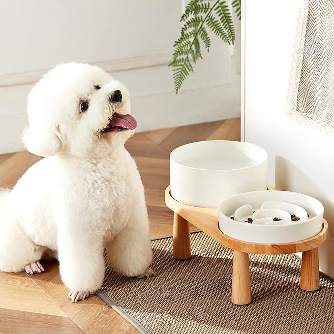 Ceramic Slow Feeder and Water Bowl Set for Medium and Large Dogs, Ceramic Dog Bowls Elevated with Wooden Stand, 2.0 Cups Dog Slow Feeder(30oz) and 70oz Water Bowl Set, White