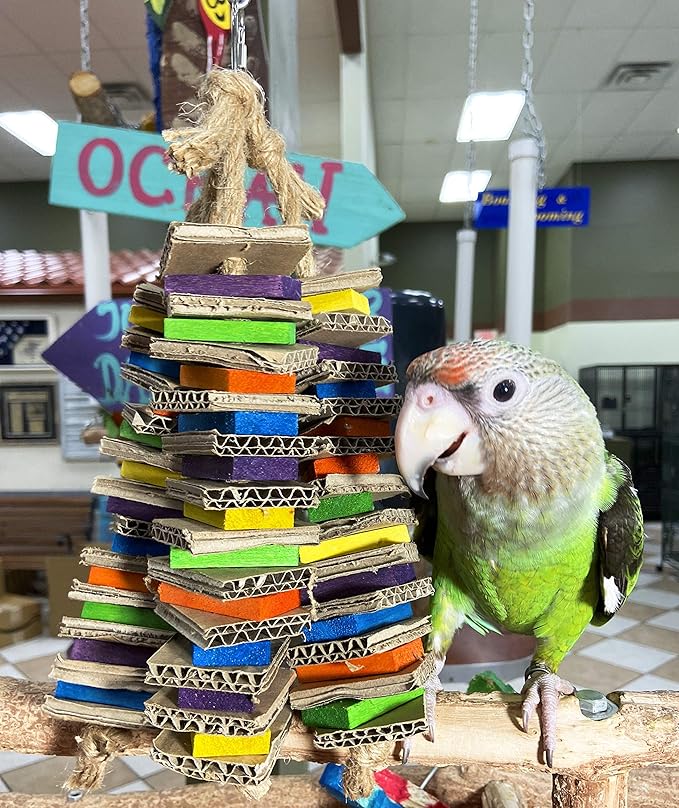 Birds LOVE Chew-Tastic Triple Tower Bird Cage Toy Shredded - Small Bird Toy for Green Cheek Conures Sun Conures Caiques Senegals Quakers and Similar Small Sized Parrots