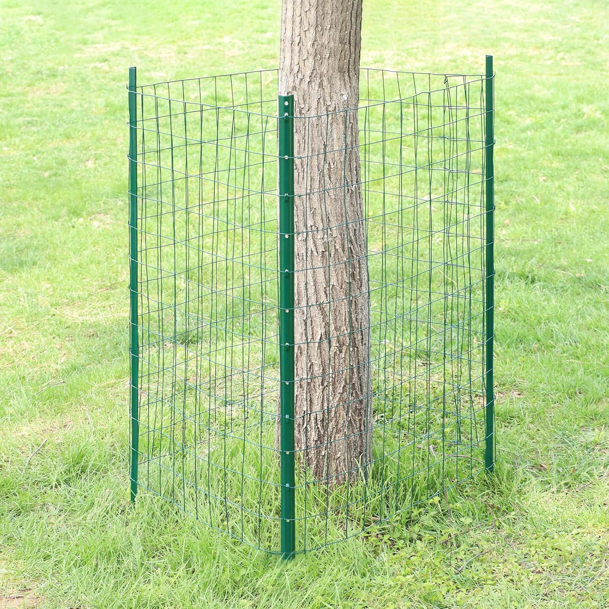 Green PVC Coated Welded Wire Fence 36 Inch x 50 Foot, 2 Inch x 3 Inch 16GA, Garden Border Fencing Roll Vinyl Coating Metal Wire Mesh for Yard Vegetable Plant Protection Poultry Netting