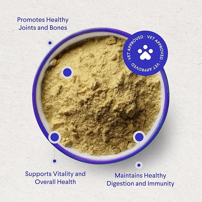 Bone Broth for Dogs – Bone Broth Powder with Organic Mushrooms & Collagen for Digestion, Immunity & Joint Support – Tasty Beef Supplement for Dogs of All Ages, Sizes & Breeds – 3.20 oz