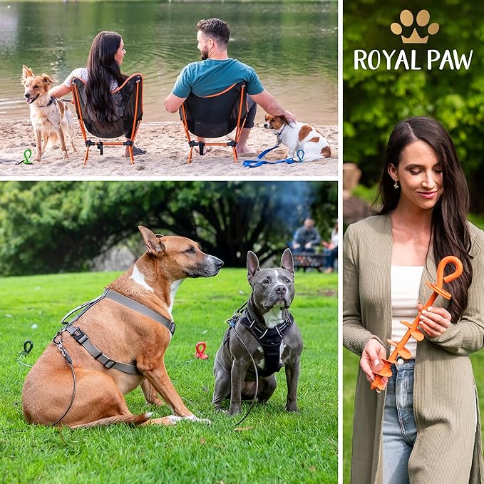 ROYAL-PAW Dog Tie Out Stake - for Large Dogs up to 210 lbs - Heavy Duty Dog Stake for Yard, Beach & Camping Outside - Best in Ground Anchor for a Dog Cable, Leash, Lead Tether (Green)